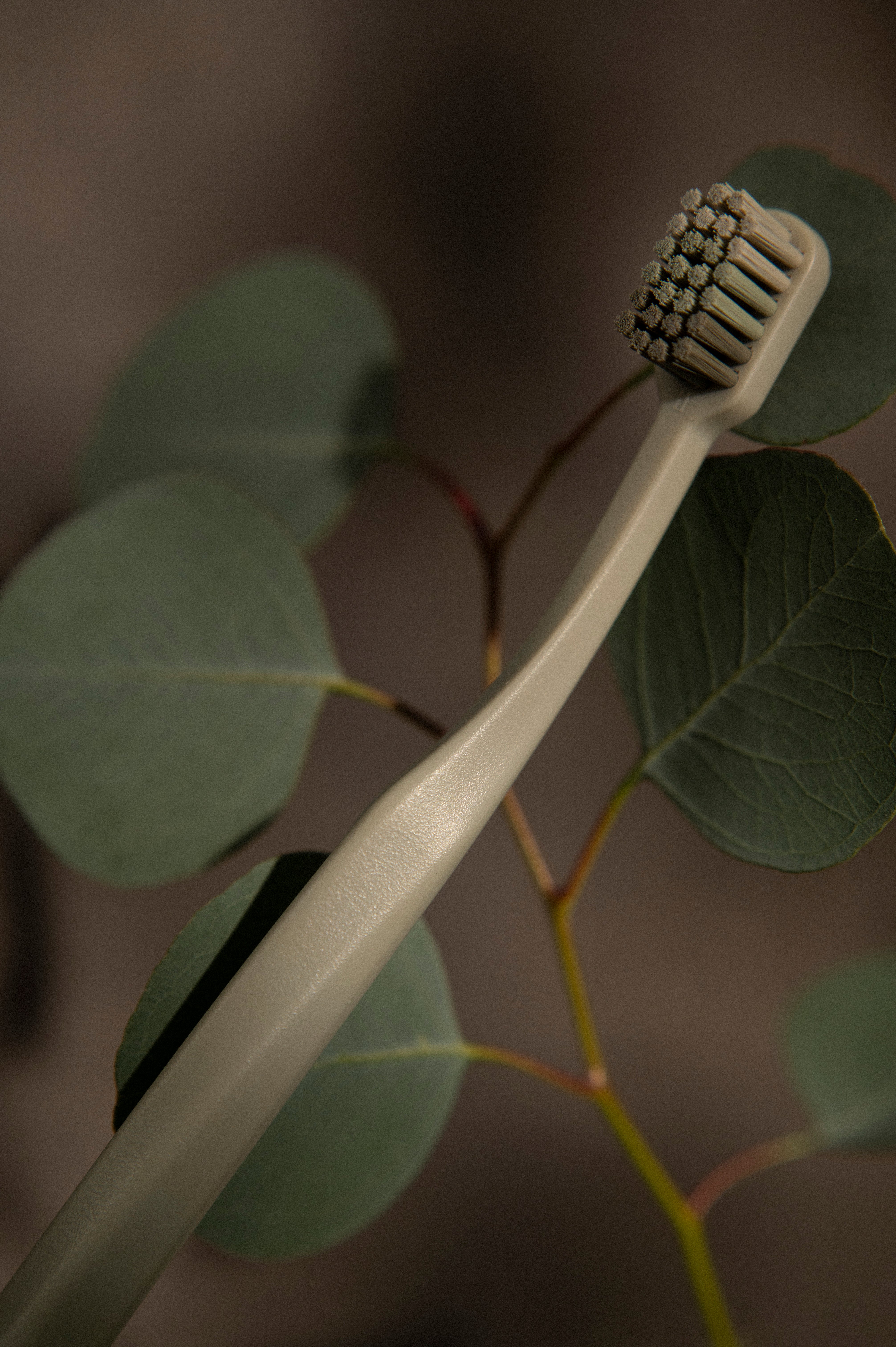 Classic 45°牙刷 Eucalyptus