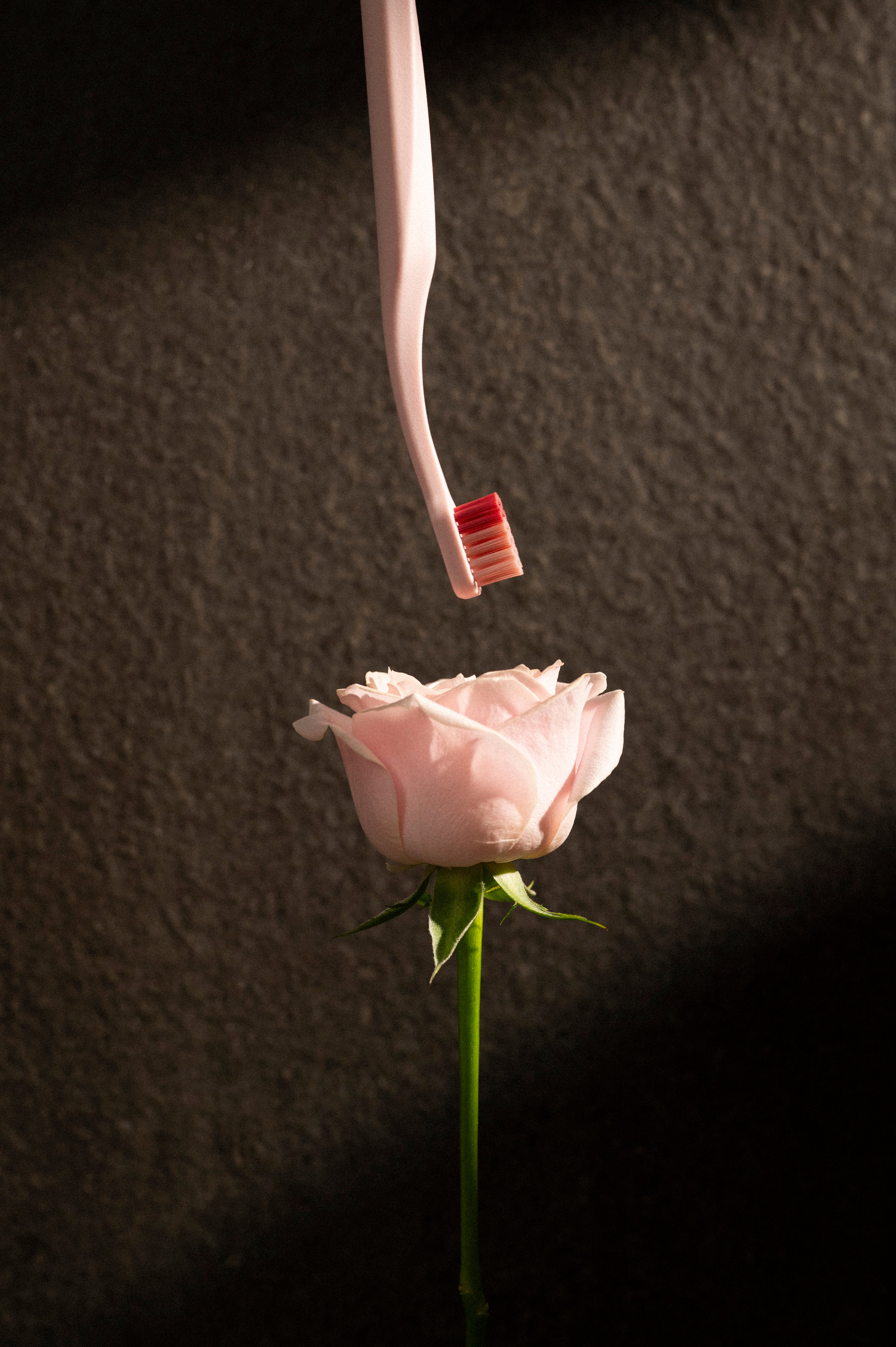 Classic 45°牙刷 Rose