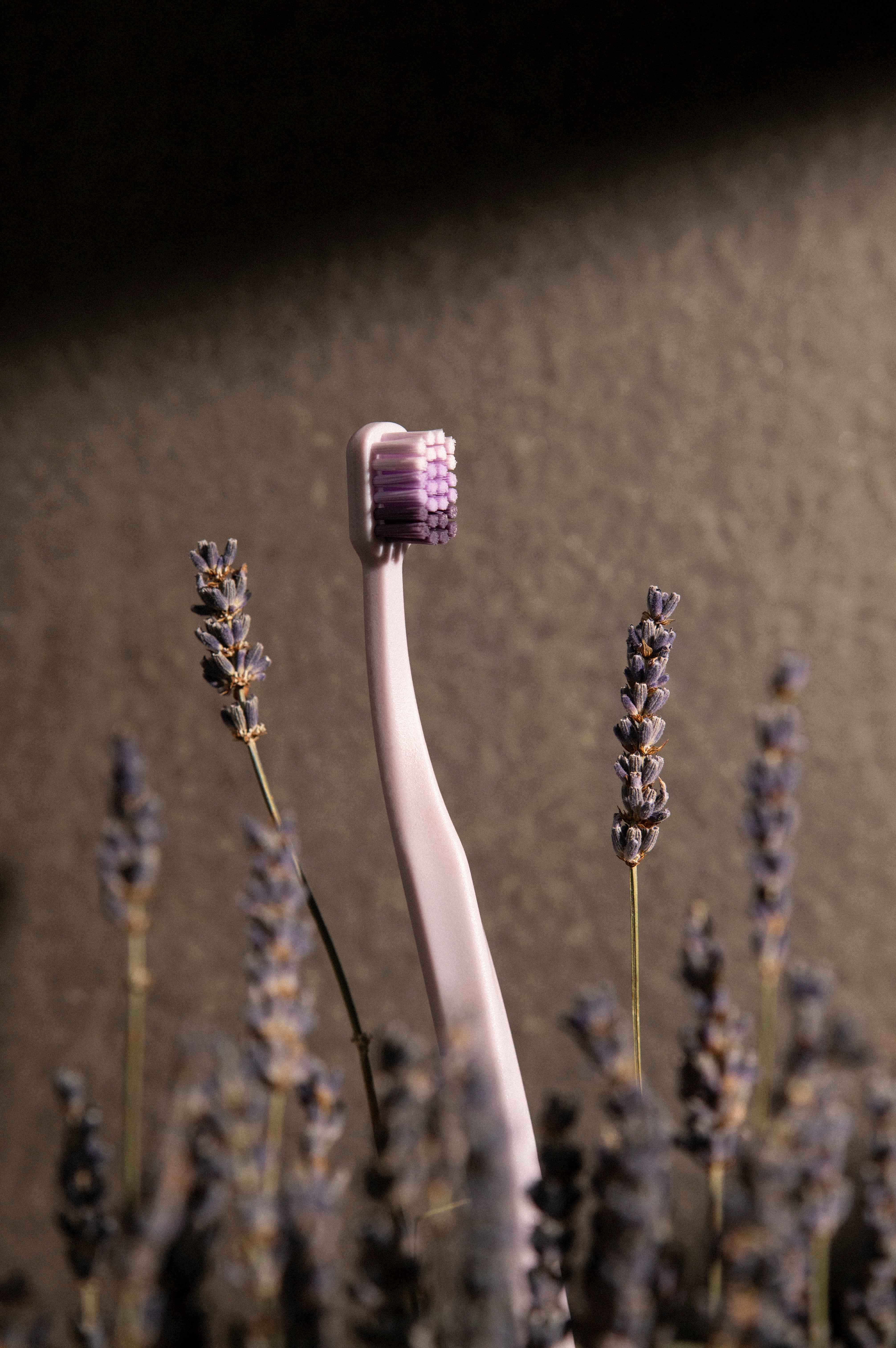 RYUGII STUDIO 專利角度牙刷 薰衣草