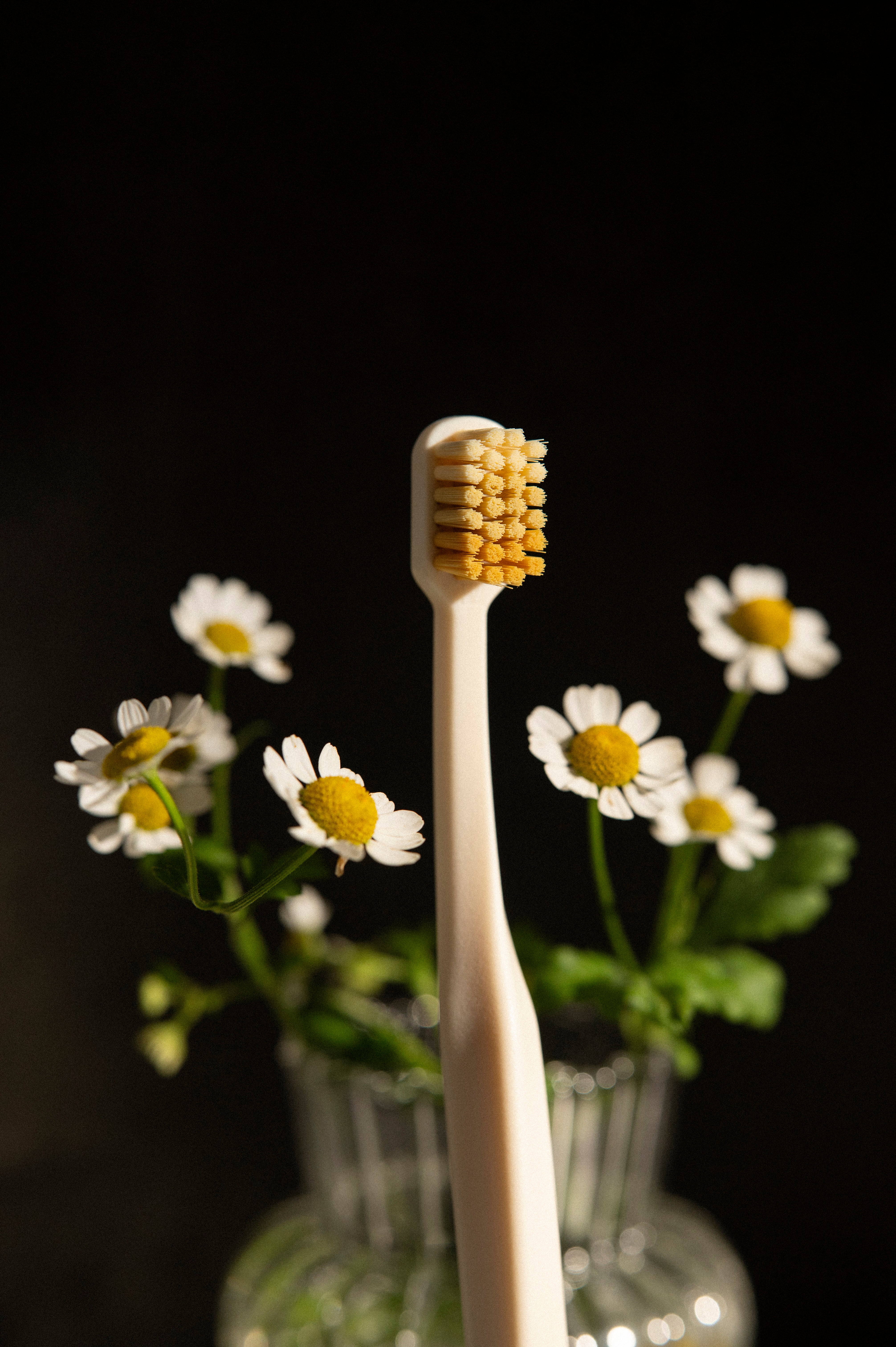 Classic 45°牙刷 Chamomile