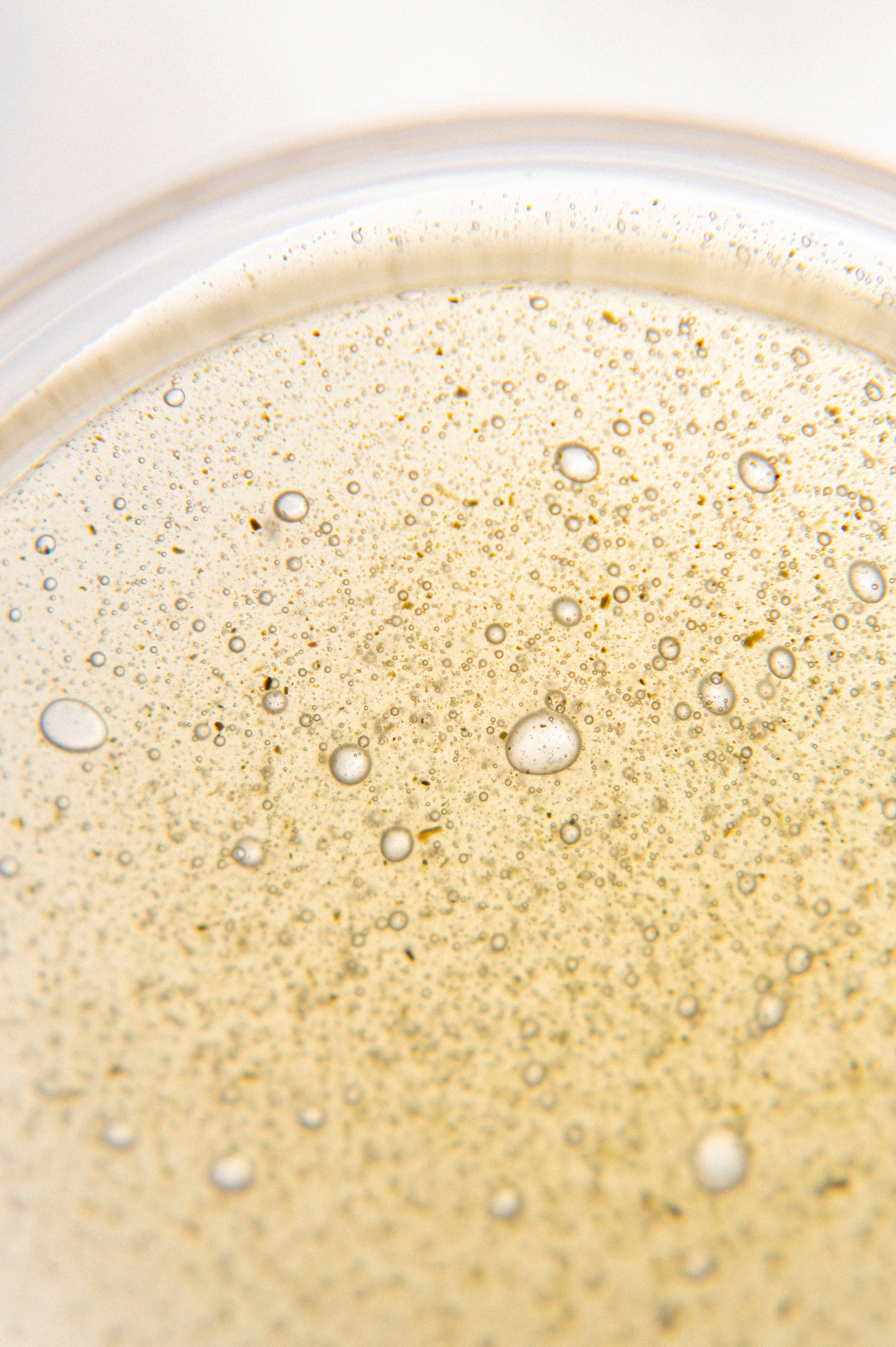 柚菊清研-溫和淨白牙膏